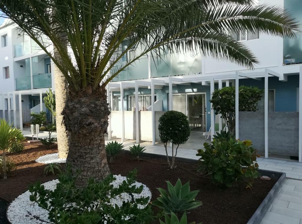 Appartement Vista Bristol 50B Corralejo Luaran gambar