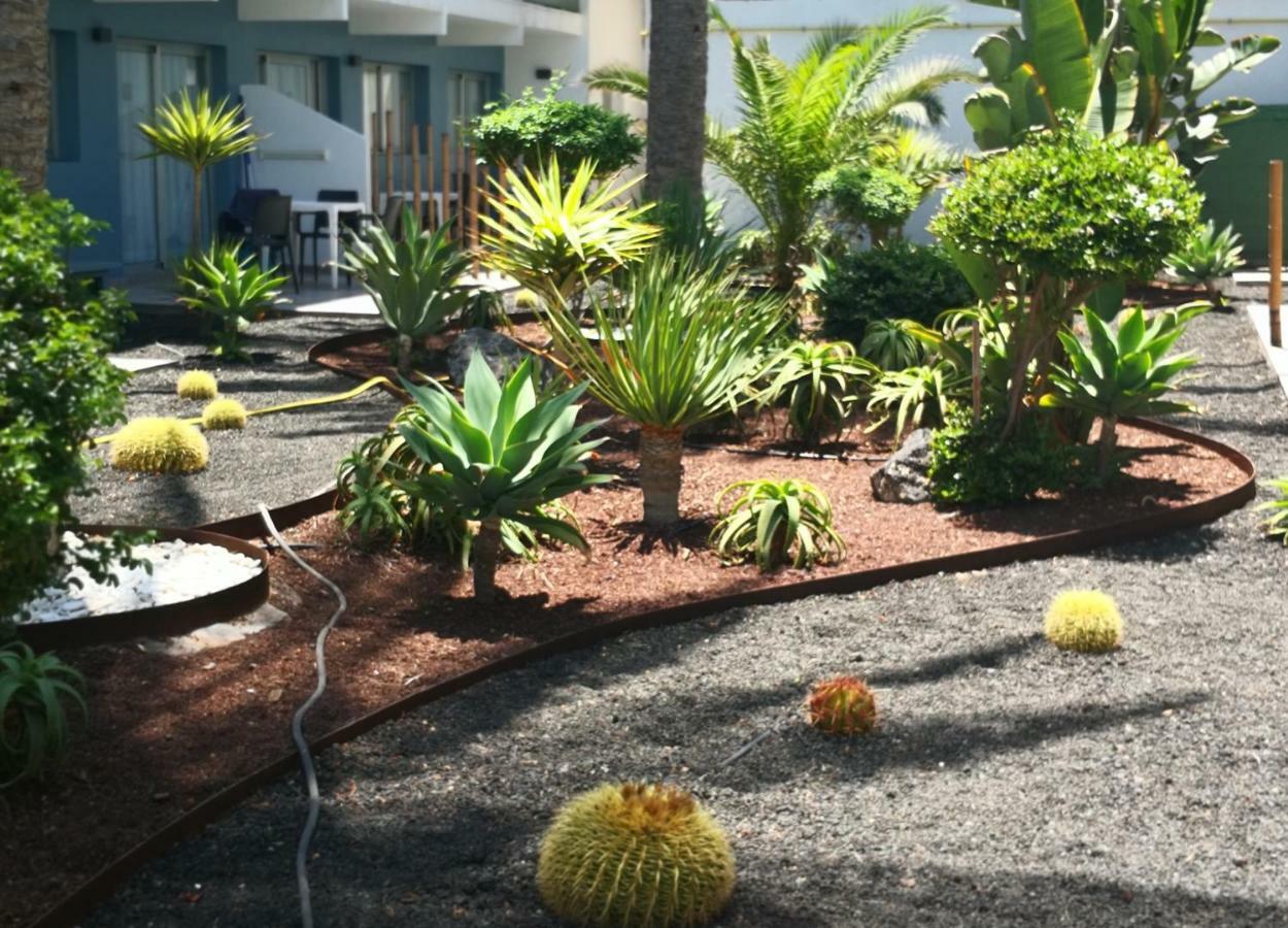 Appartement Vista Bristol 50B Corralejo Luaran gambar